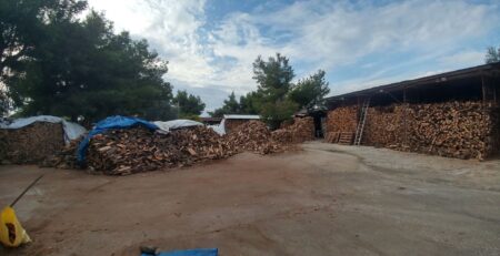 Πώς να μετρήσετε την υγρασία στα καυσόξυλα; Ξύλα και καυσόξυλα: Η επίδραση της υγρασίας στην ποιότητα